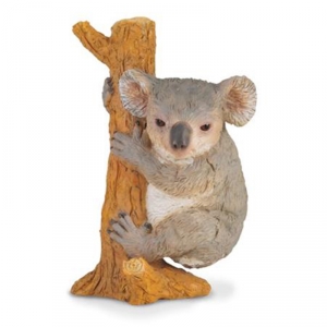 Koala na stromě